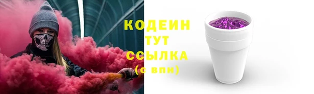 МДПВ Вяземский
