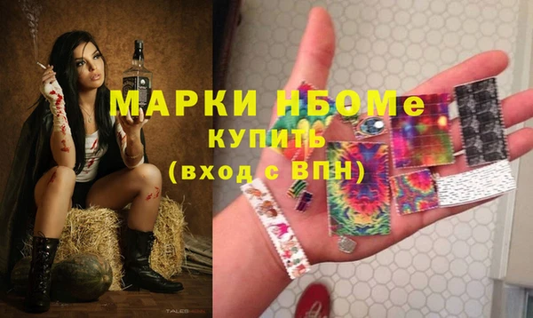 МДПВ Вяземский