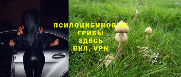 МДПВ Вяземский