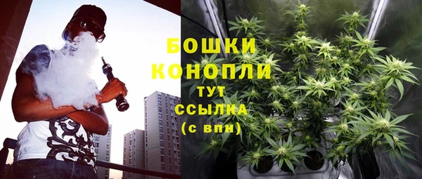 бутират Горнозаводск
