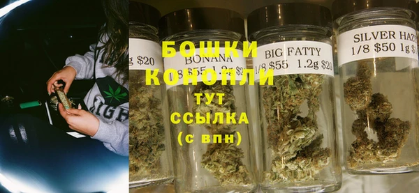МДПВ Вяземский