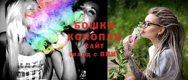 МДПВ Вяземский